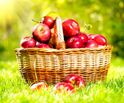 Доставка фруктовых корзин