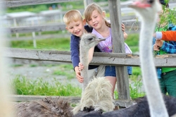 Экскурсия по ферме