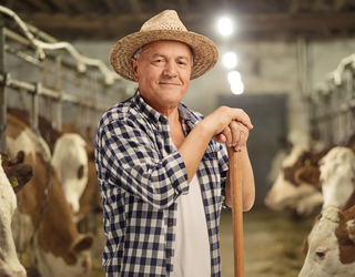 Директор фермы